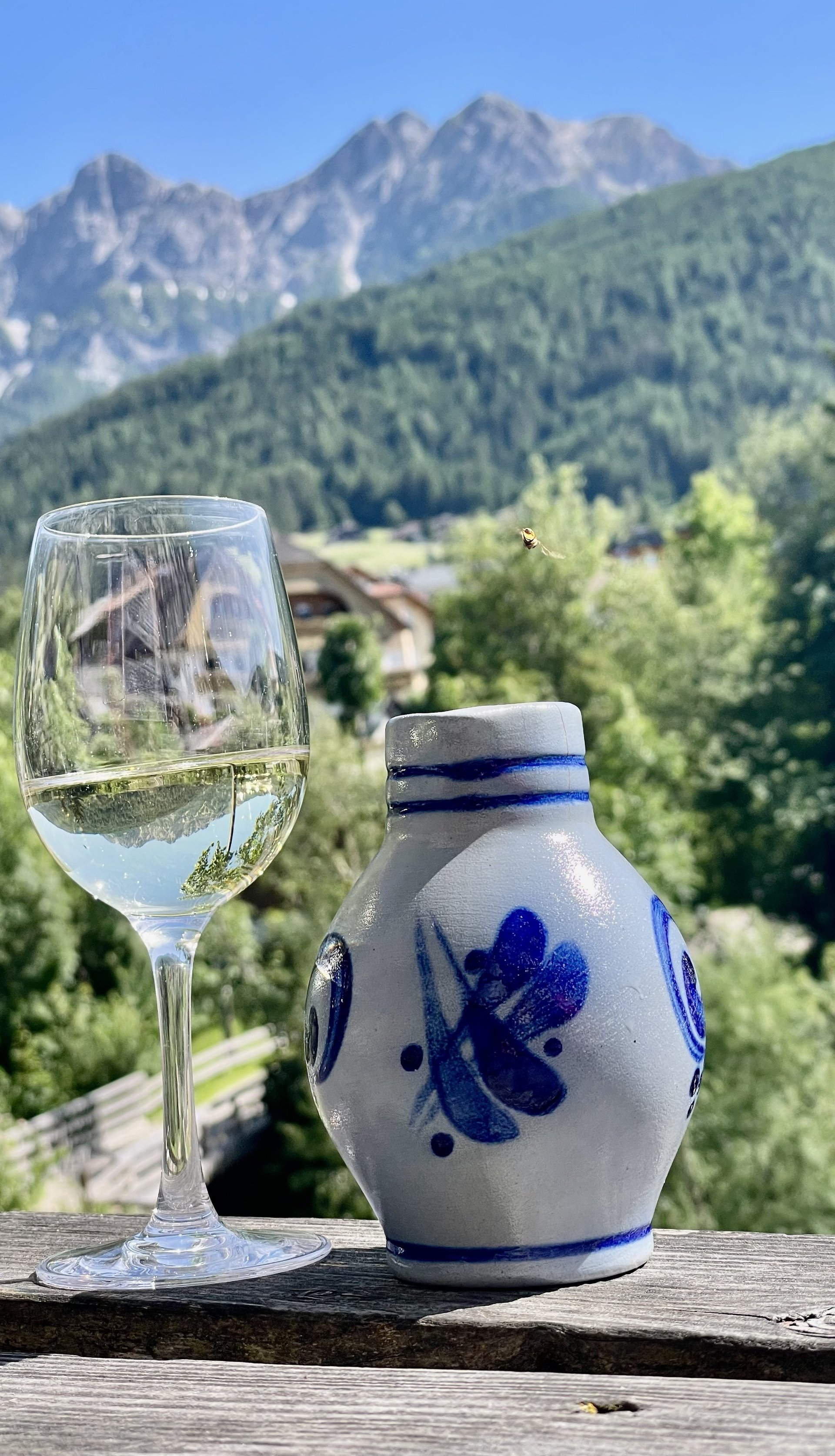 bicchiere vino altoadige montagne dolomiti albergo