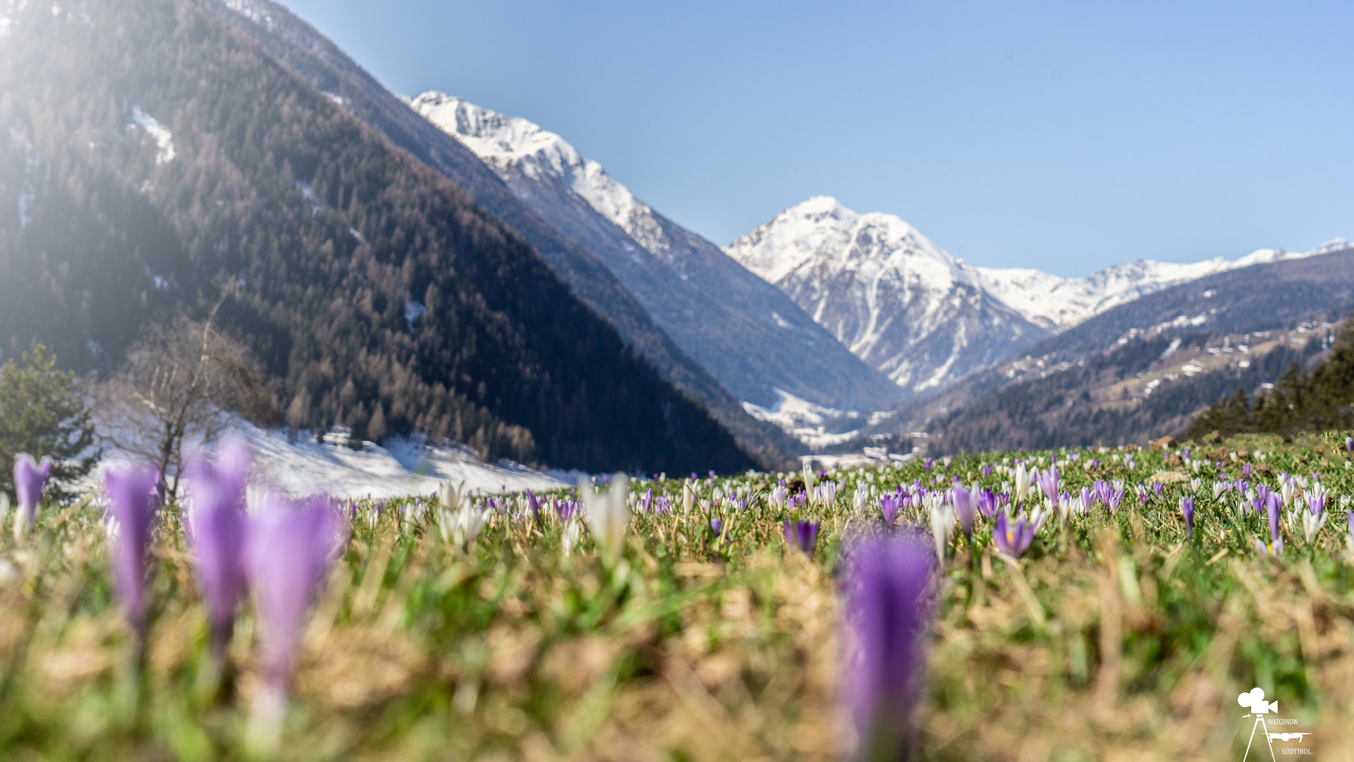 In Val d'Ultimo può essere ammirato la primavera in valle e l' inverno su in montagne. 