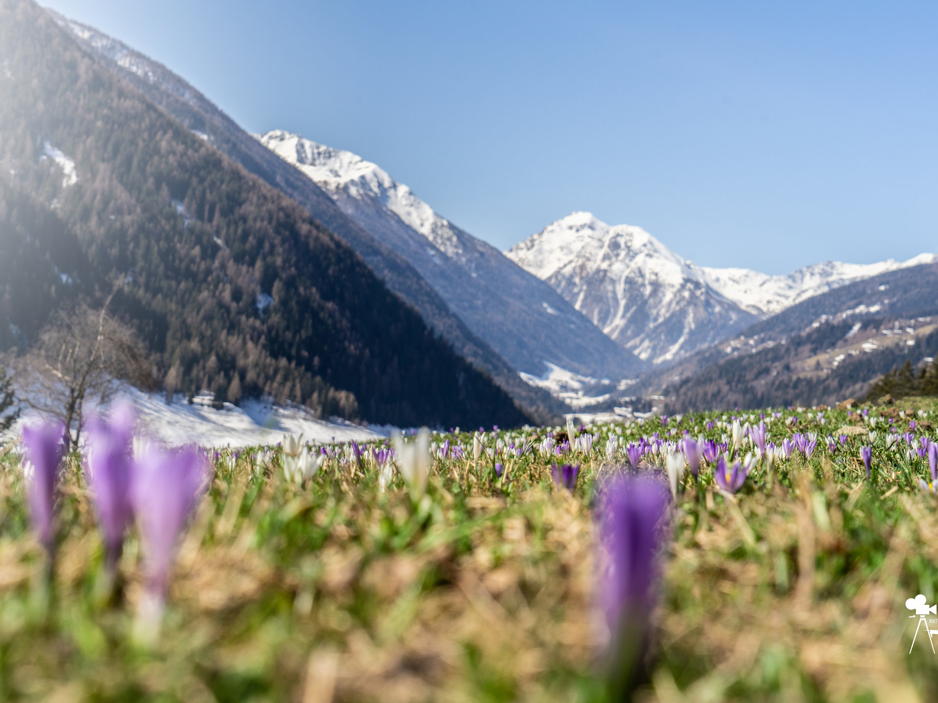 In Ultental Valley you can admire the spring down in the valley an the winter on the mountains.