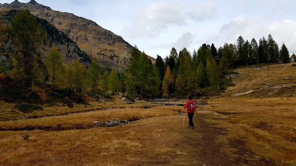 Der goldene Herbst im Ultental in Südtirol mit klaren Bergseen und bunt gefärbten Nadelwäldern.