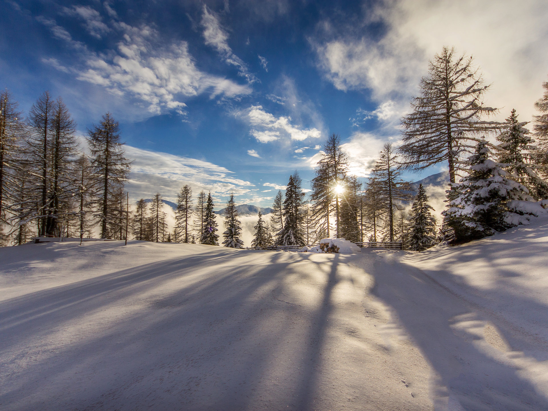 Snowy woods in Ultental Valley, the home of Dominik Paris.