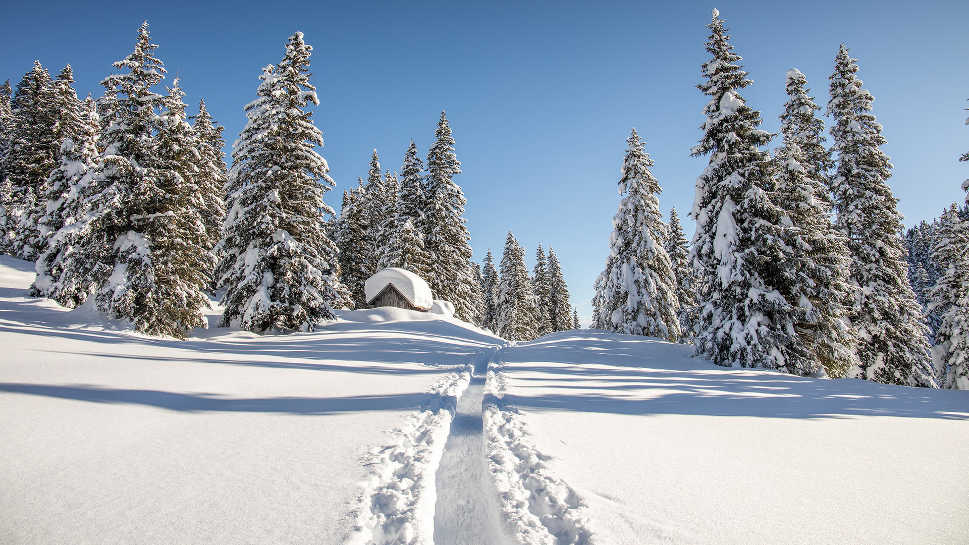 Schneeschuhwandern im Ultental - naturnah und idyllisch!