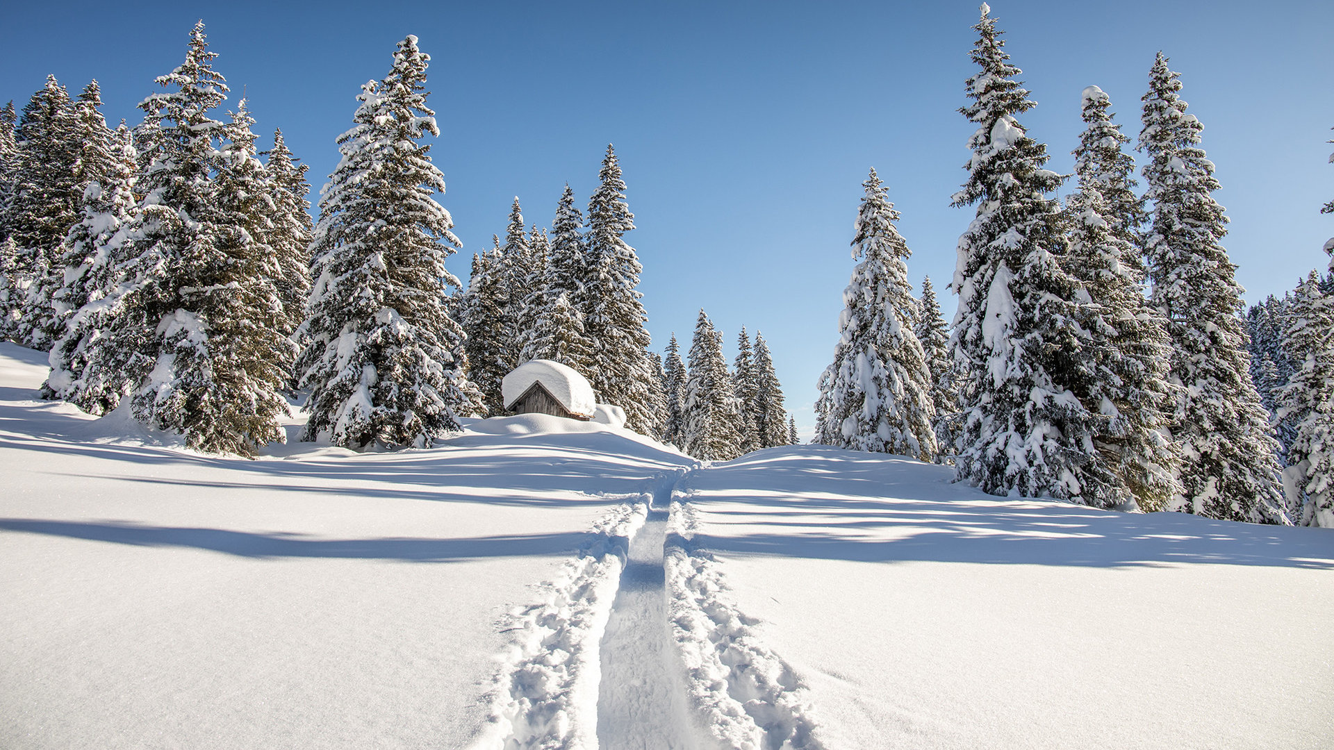 Schneeschuhwandern im Ultental - naturnah und idyllisch!