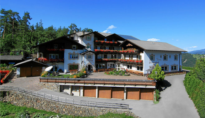 Hotel Steineggerhof