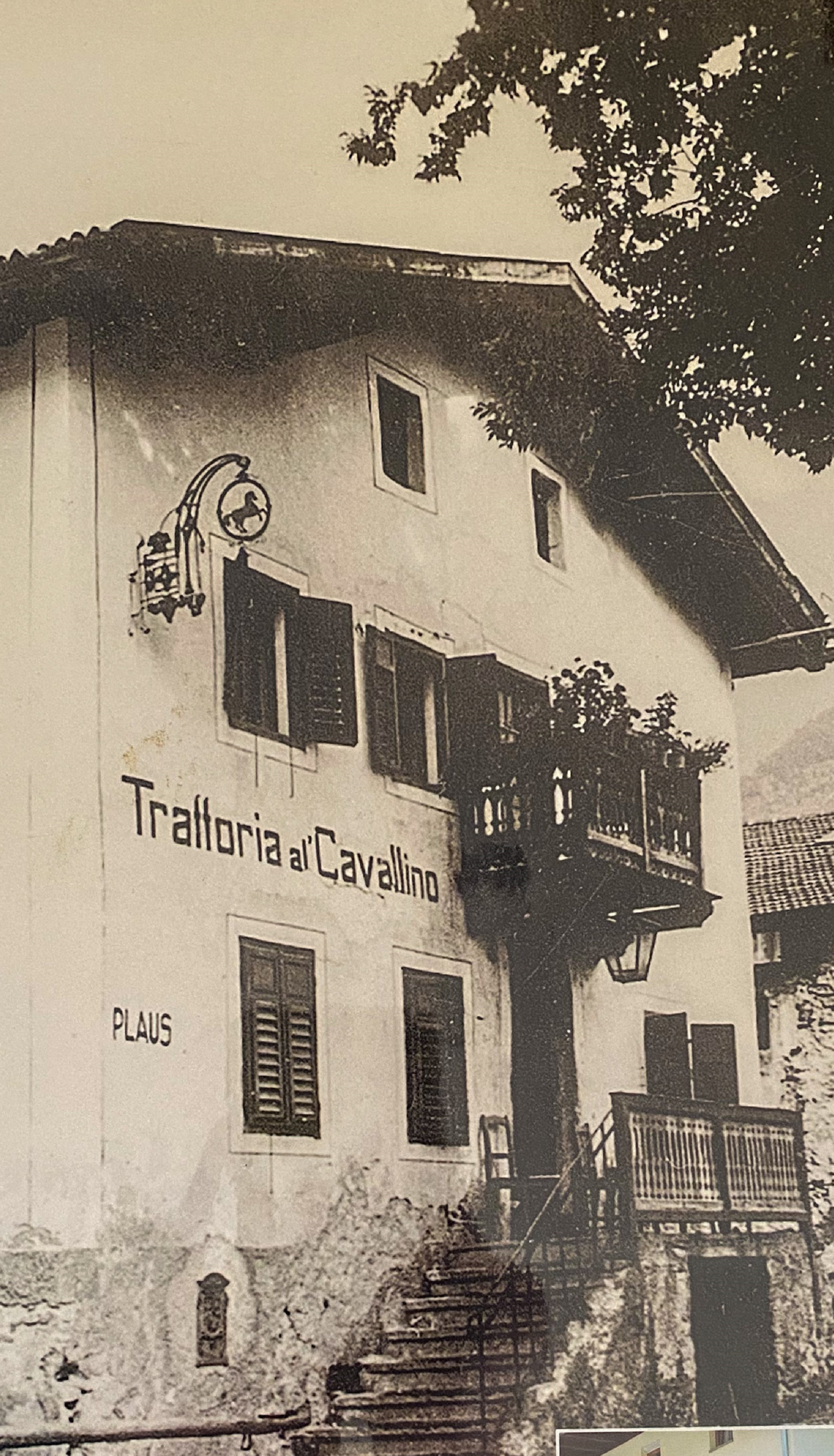Lo Stefanshof a Plaus a quel tempo ancora con il cartello sul muro di casa "cavallo bianco" questo è oggi in cantina, e con la scritta italiana tra il 1920 e il 1940.