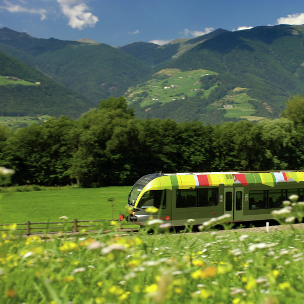 Zug fährt durch eine Blumenwiese im Vinschgau