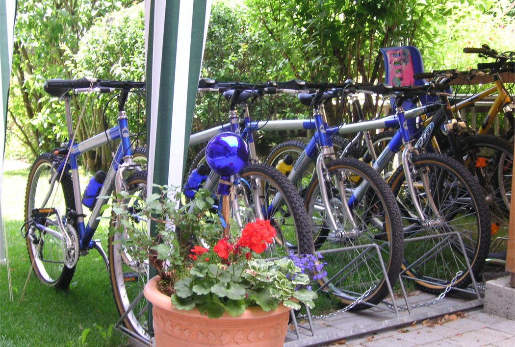 bicycle rental