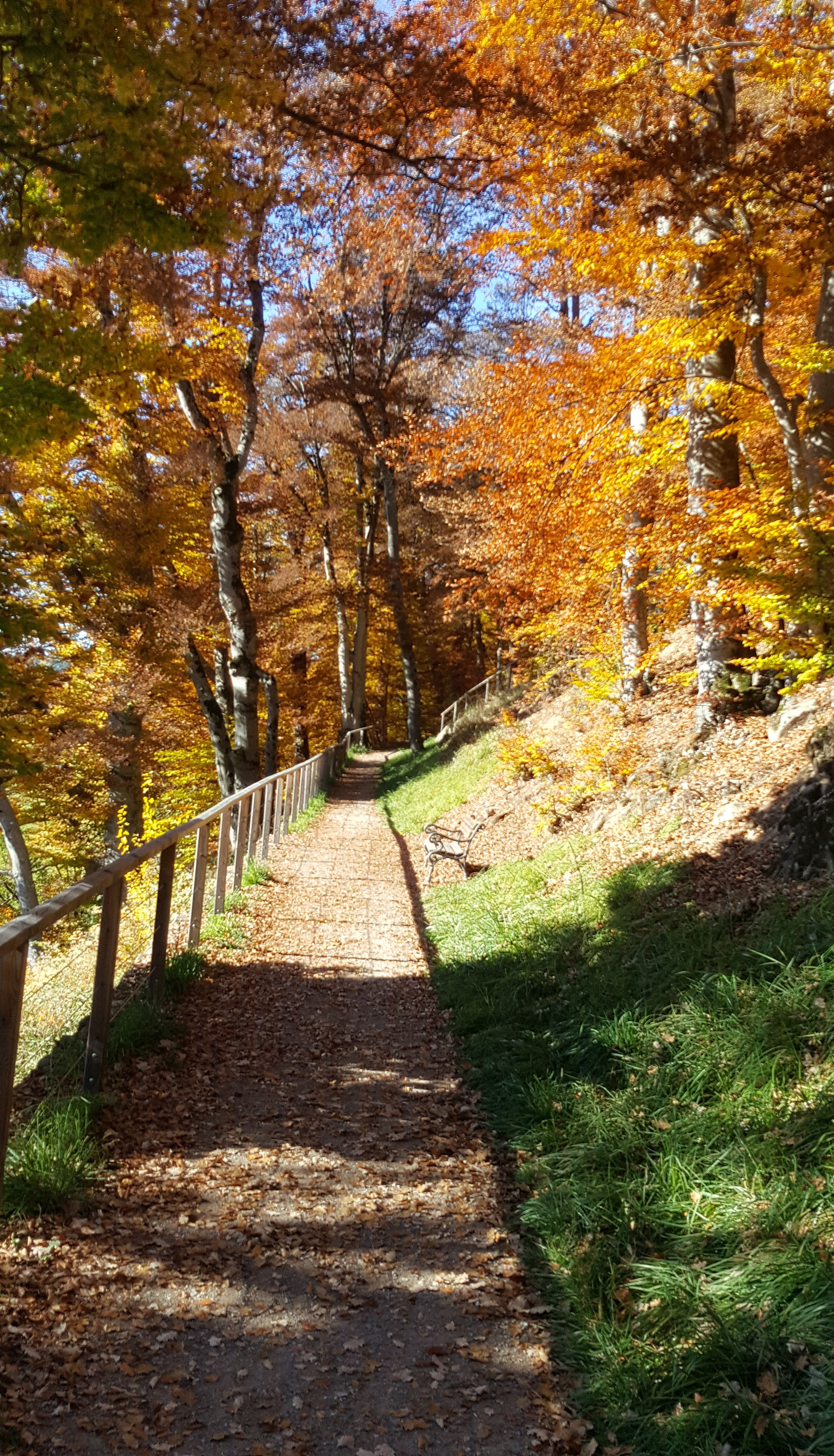 Promenade "von Eyrl" in autumn