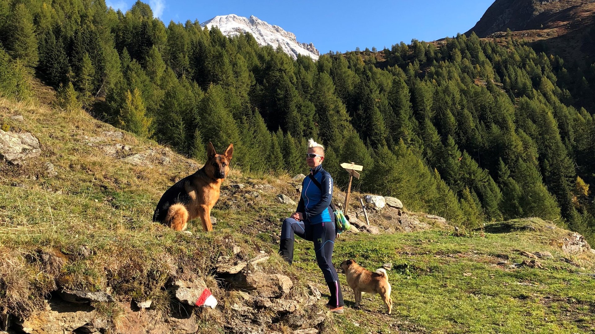 Pension Widmann hike Schneeberg with dog