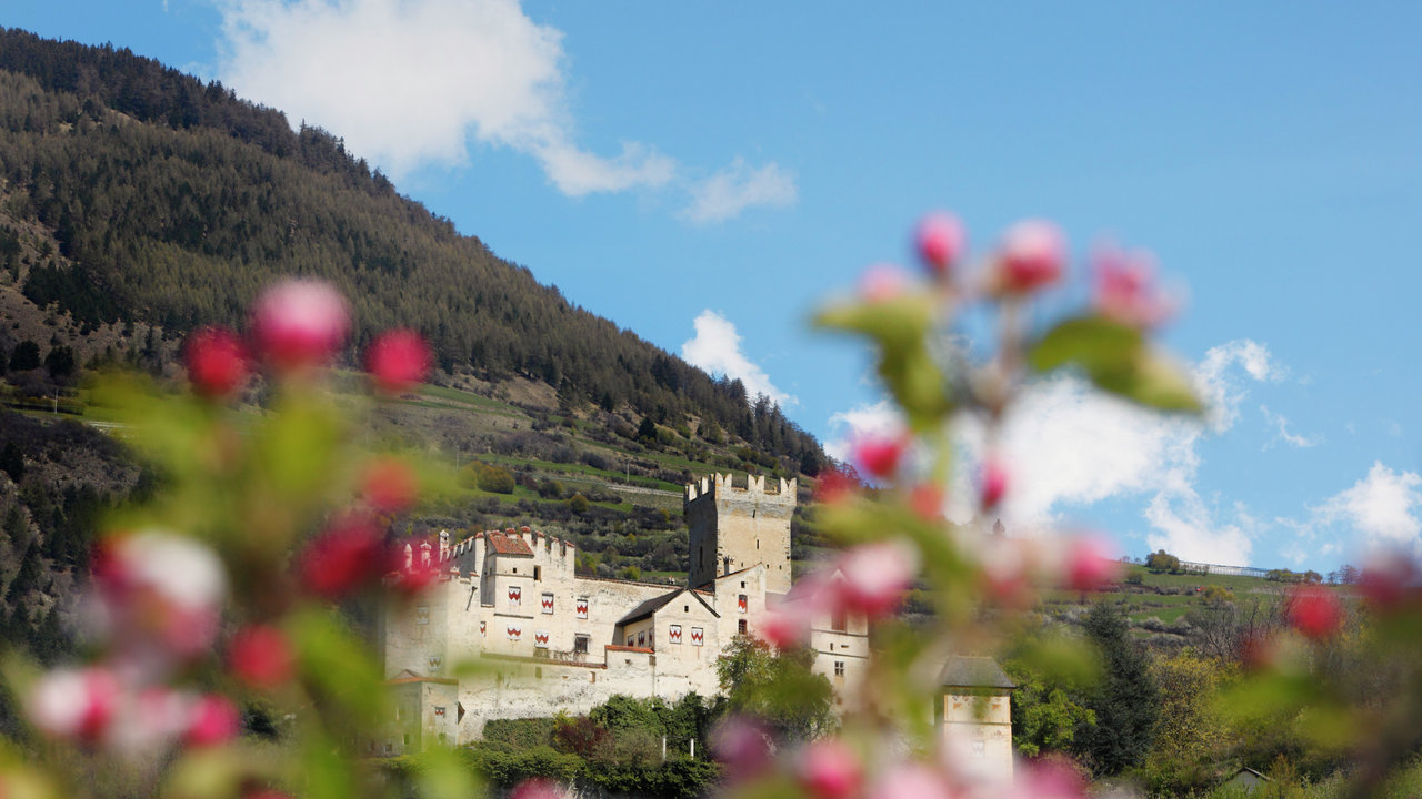IDM Südtirol - Frieder Blickle